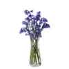 Florabundance Bluebell Vase -Home Sale Store bluebell