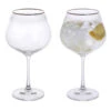 Gatsby Copa Gin & Tonic, Set Of 2 1 Gatsby Copa Gin & Tonic, Set Of 2 -Home Sale Store microsoftteams image 10