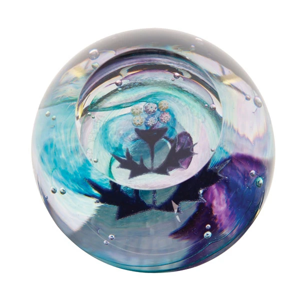 Mini Thistle 3 Mini Thistle